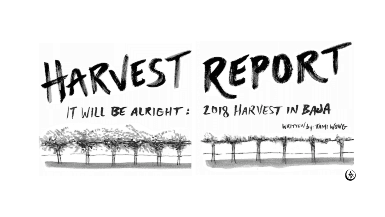 Harvest Report